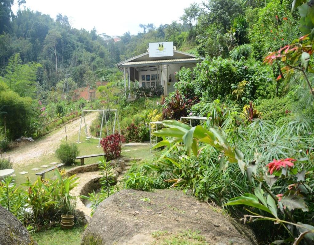 Camping in Lojing Highlands: A Calming Experience in Nature