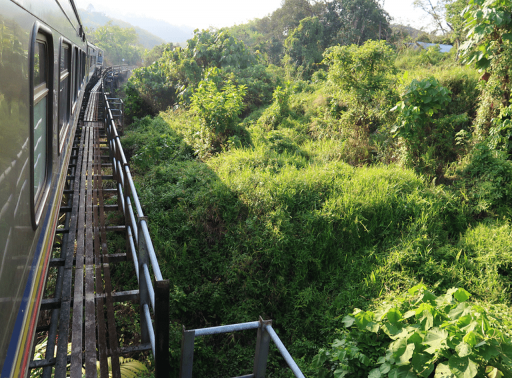 Kereta_Api_Hutan